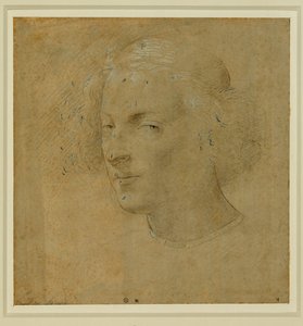 Portret van een jonge man met keppel ... door Lorenzo di Credi