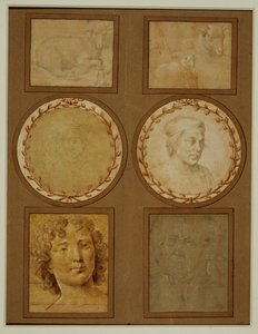 Studie van een lam, voorpoten vastgebonden ... door Lorenzo di Credi