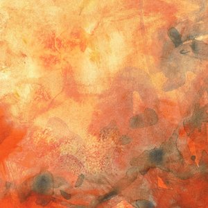  door Lori Ann Folz