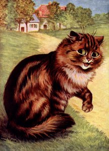Kat