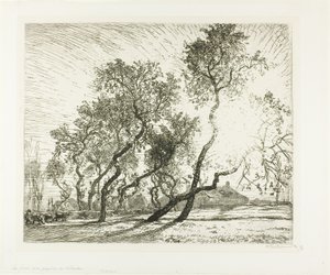 Boerderij met Nederlandse populieren door Louis Auguste Lepère