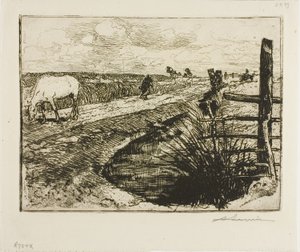 Weg in de Marais, Vendée