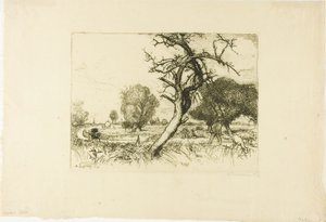 De dode appelboom