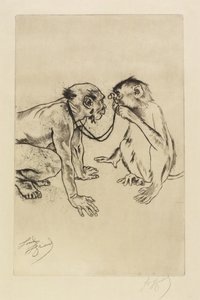 Vergelijkende anatomie door Louis Auguste Mathieu Legrand