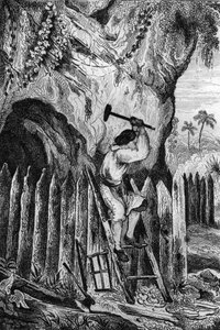 Ik plantte tien rijen palissaden. Gravure naar de tekening van M. de Sainson voor het boek van Daniel Defoe 