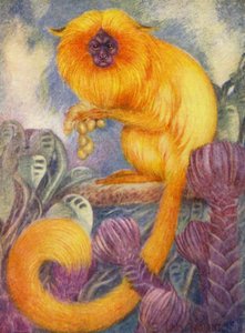 In de Dierentuin: Marmoset Aap door Louis Augustus Sargent