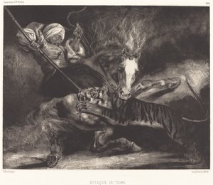 Aanval van de tijger