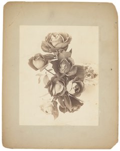 Tiffany Studios, c.1898-1920