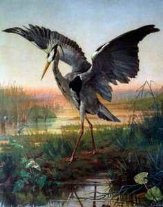 De reiger. Illustratie voor de fabel De reiger en de slak van Jean de La Fontaine door Louis Emile Villa