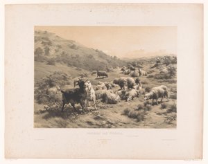 Herderin met geiten en schapen in de Pyreneeën