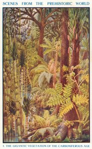De gigantische vegetatie van het carboontijdperk (kleurenlitho)