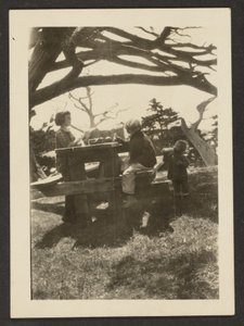 [Kinderen aan een picknicktafel].