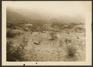 [Coyote Canyon] door Louis Fleckenstein