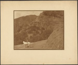  door Louis Fleckenstein