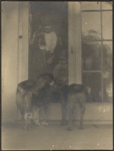 [Honden bij de deur] door Louis Fleckenstein