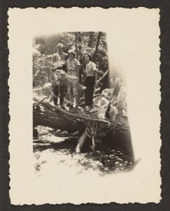 [Figuren in het bos].