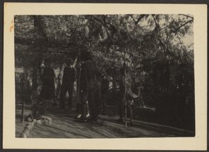 [Figuren in het bos].
