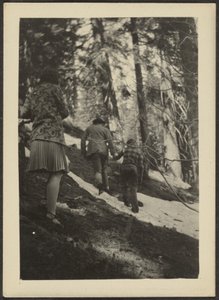 [Figures in the Woods].