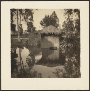 [Hut op Vijver]. door Louis Fleckenstein