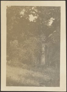 [Landschap]