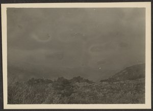 [Landschap]