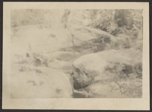 [Landschap]