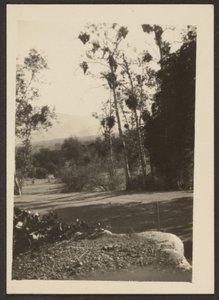 [Landschap]