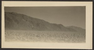 [Landschap]