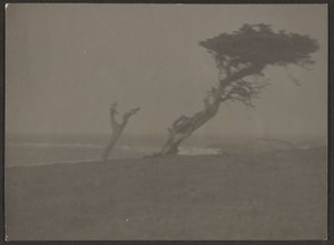 [Landschap]