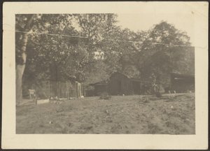 [Landschap]