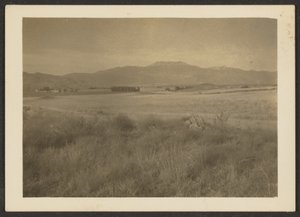 [Landschap]
