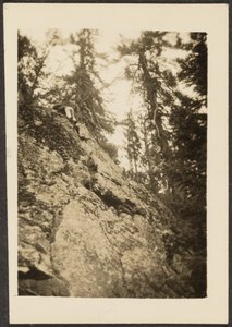 [Landschap]