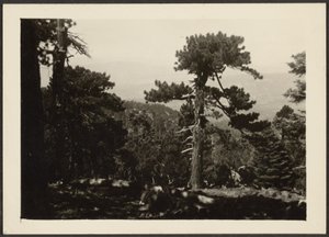 [Landschap]