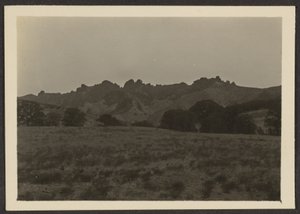 [Landschap]