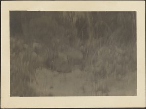 [Landschap]