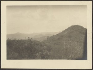 [Landschap]