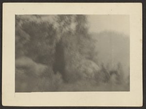 [Landschap]