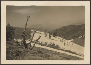 [Landschap] door Louis Fleckenstein