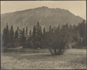 [Landschap met rotsen]. door Louis Fleckenstein