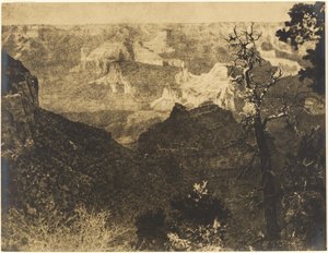 [Bergachtig landschap met kale boom]