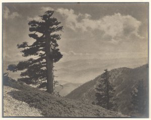 [On Ridge to Old Baldy]. door Louis Fleckenstein