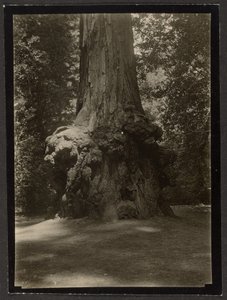  door Louis Fleckenstein