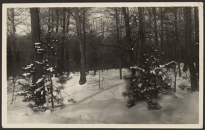 [Besneeuwd Landschap]. door Louis Fleckenstein