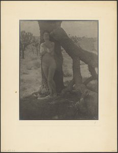  door Louis Fleckenstein