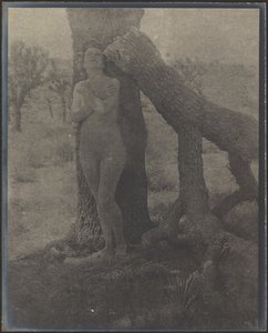  door Louis Fleckenstein
