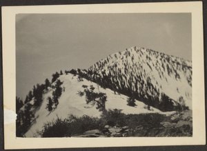 [Telescope Peak].