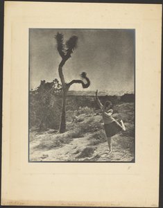  door Louis Fleckenstein