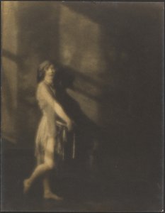 Het model