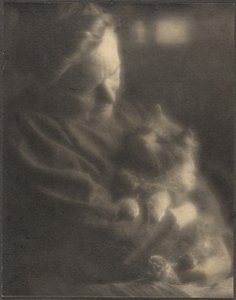 De huisdier-angora door Louis Fleckenstein