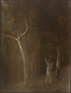 [Biddende vrouw tussen de bomen].